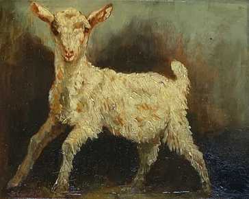 Camarda Francesco - la pequeña cabra